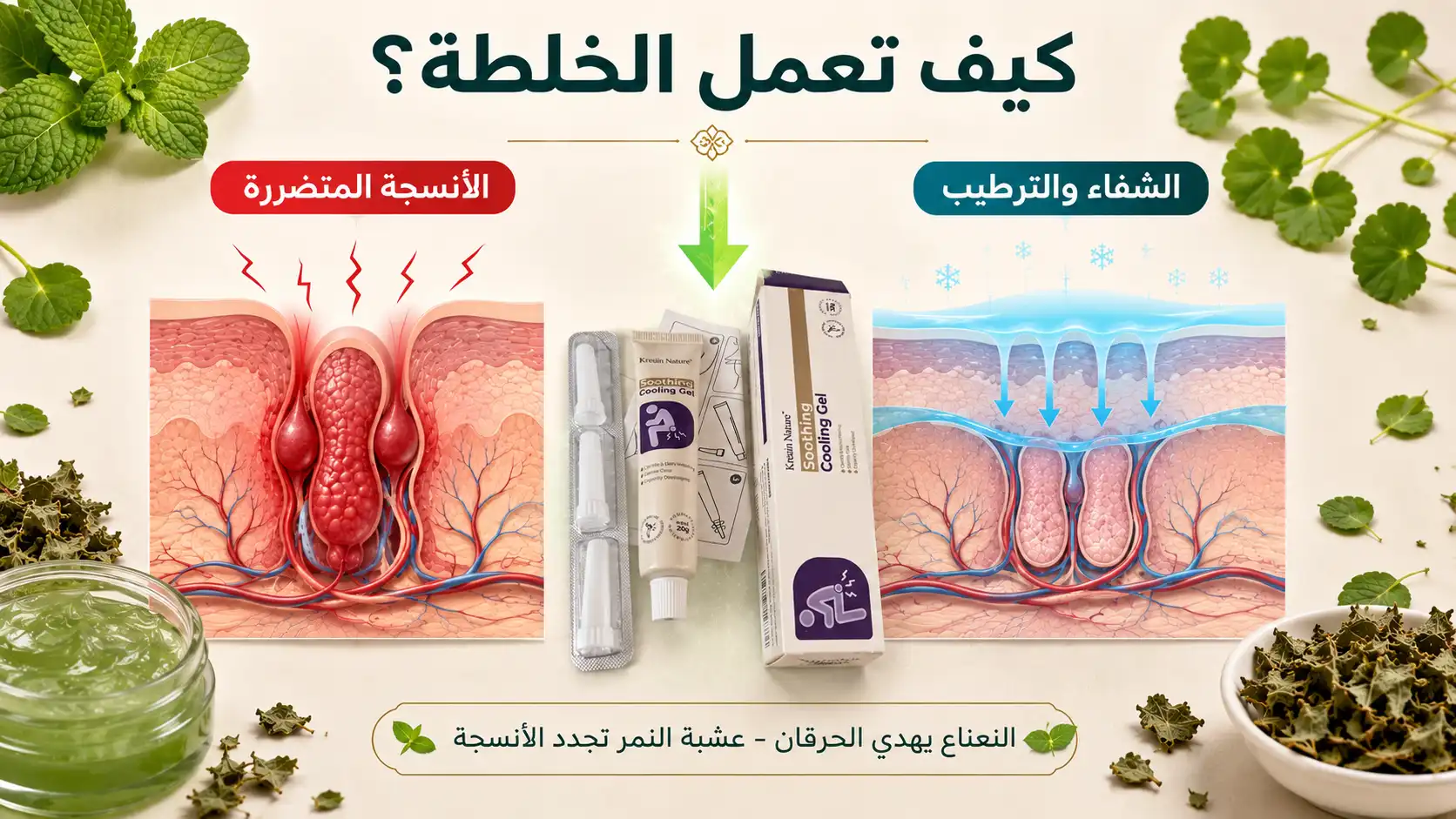 كيف تعمل خلطة النعناع وعشبة النمر على الأنسجة